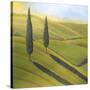 Rolling Hills I-Herb Dickinson-Stretched Canvas