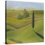 Rolling Hills II-Herb Dickinson-Stretched Canvas