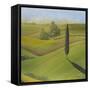 Rolling Hills II-Herb Dickinson-Framed Stretched Canvas