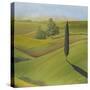 Rolling Hills II-Herb Dickinson-Stretched Canvas