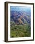 Rolling hills in Southland Region of New Zealand-Jason Hosking-Framed Photographic Print