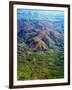 Rolling Hills in Southland Region of New Zealand-Jason Hosking-Framed Photographic Print