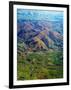 Rolling Hills in Southland Region of New Zealand-Jason Hosking-Framed Photographic Print