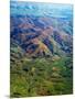 Rolling Hills in Southland Region of New Zealand-Jason Hosking-Mounted Photographic Print