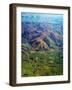 Rolling Hills in Southland Region of New Zealand-Jason Hosking-Framed Photographic Print