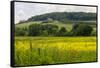 Rolling Hills Landscape. Tuscany, Italy-Tom Norring-Framed Stretched Canvas