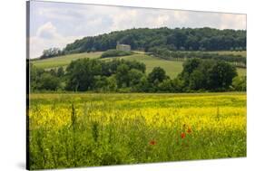 Rolling Hills Landscape. Tuscany, Italy-Tom Norring-Stretched Canvas