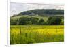 Rolling Hills Landscape. Tuscany, Italy-Tom Norring-Framed Photographic Print