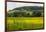 Rolling Hills Landscape. Tuscany, Italy-Tom Norring-Framed Photographic Print