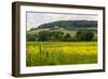 Rolling Hills Landscape. Tuscany, Italy-Tom Norring-Framed Photographic Print