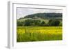 Rolling Hills Landscape. Tuscany, Italy-Tom Norring-Framed Photographic Print