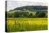Rolling Hills Landscape. Tuscany, Italy-Tom Norring-Stretched Canvas