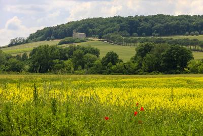 Rolling Hills Landscape Tuscany Italy Photographic Print Tom Norring Allposters Com