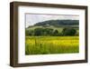 Rolling Hills Landscape. Tuscany, Italy-Tom Norring-Framed Photographic Print