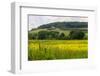 Rolling Hills Landscape. Tuscany, Italy-Tom Norring-Framed Photographic Print