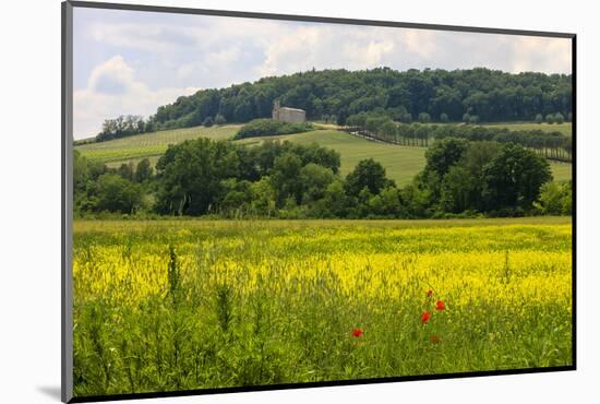 Rolling Hills Landscape. Tuscany, Italy-Tom Norring-Mounted Photographic Print