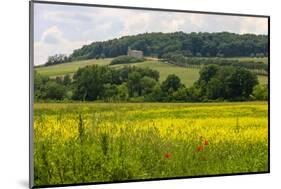 Rolling Hills Landscape. Tuscany, Italy-Tom Norring-Mounted Photographic Print