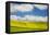 Rolling Hills of Canola and Pea Fields with Fresh Spring Color-null-Framed Stretched Canvas