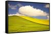 Rolling Hills of Canola and Pea Fields with Fresh Spring Color-Terry Eggers-Framed Stretched Canvas