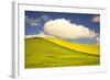 Rolling Hills of Canola and Pea Fields with Fresh Spring Color-Terry Eggers-Framed Photographic Print