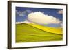 Rolling Hills of Canola and Pea Fields with Fresh Spring Color-Terry Eggers-Framed Photographic Print