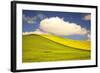 Rolling Hills of Canola and Pea Fields with Fresh Spring Color-Terry Eggers-Framed Photographic Print