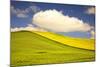 Rolling Hills of Canola and Pea Fields with Fresh Spring Color-Terry Eggers-Mounted Photographic Print