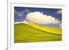 Rolling Hills of Canola and Pea Fields with Fresh Spring Color-Terry Eggers-Framed Photographic Print