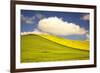 Rolling Hills of Canola and Pea Fields with Fresh Spring Color-Terry Eggers-Framed Photographic Print