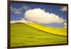 Rolling Hills of Canola and Pea Fields with Fresh Spring Color-Terry Eggers-Framed Photographic Print