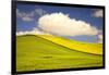 Rolling Hills of Canola and Pea Fields with Fresh Spring Color-Terry Eggers-Framed Photographic Print