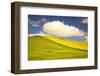 Rolling Hills of Canola and Pea Fields with Fresh Spring Color-Terry Eggers-Framed Photographic Print