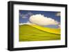 Rolling Hills of Canola and Pea Fields with Fresh Spring Color-Terry Eggers-Framed Photographic Print