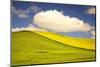 Rolling Hills of Canola and Pea Fields with Fresh Spring Color-Terry Eggers-Mounted Photographic Print