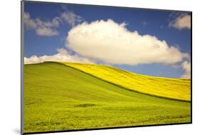 Rolling Hills of Canola and Pea Fields with Fresh Spring Color-Terry Eggers-Mounted Photographic Print