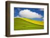 Rolling Hills of Canola and Pea Fields with Fresh Spring Color-null-Framed Photographic Print