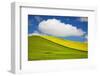 Rolling Hills of Canola and Pea Fields with Fresh Spring Color-null-Framed Photographic Print