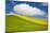 Rolling Hills of Canola and Pea Fields with Fresh Spring Color-null-Mounted Photographic Print