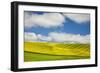 Rolling Hills of Canola and Pea Fields with Fresh Spring Color-null-Framed Photographic Print