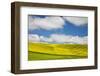 Rolling Hills of Canola and Pea Fields with Fresh Spring Color-null-Framed Photographic Print