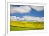 Rolling Hills of Canola and Pea Fields with Fresh Spring Color-null-Framed Photographic Print