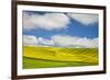 Rolling Hills of Canola and Pea Fields with Fresh Spring Color-null-Framed Photographic Print