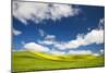 Rolling Hills of Canola and Pea Fields with Fresh Spring Color-null-Mounted Photographic Print