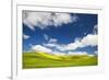 Rolling Hills of Canola and Pea Fields with Fresh Spring Color-null-Framed Photographic Print