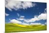 Rolling Hills of Canola and Pea Fields with Fresh Spring Color-null-Mounted Photographic Print