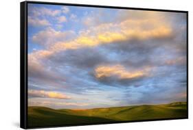 Rolling Hills of Green Spring Wheat and Evening Bright Clouds-Terry Eggers-Framed Stretched Canvas