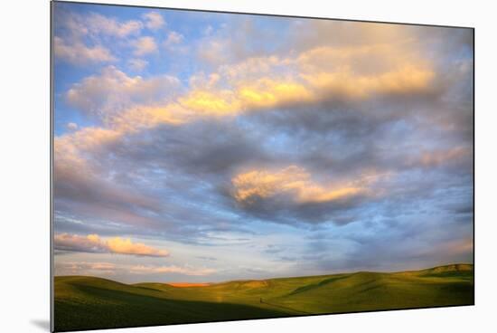 Rolling Hills of Green Spring Wheat and Evening Bright Clouds-Terry Eggers-Mounted Photographic Print