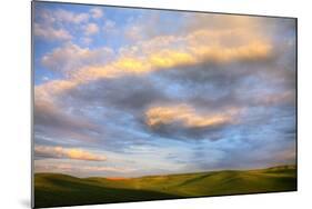 Rolling Hills of Green Spring Wheat and Evening Bright Clouds-Terry Eggers-Mounted Photographic Print