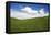 Rolling Hills of Green Spring Wheat and Puffy Clouds-Terry Eggers-Framed Stretched Canvas