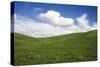 Rolling Hills of Green Spring Wheat and Puffy Clouds-Terry Eggers-Stretched Canvas